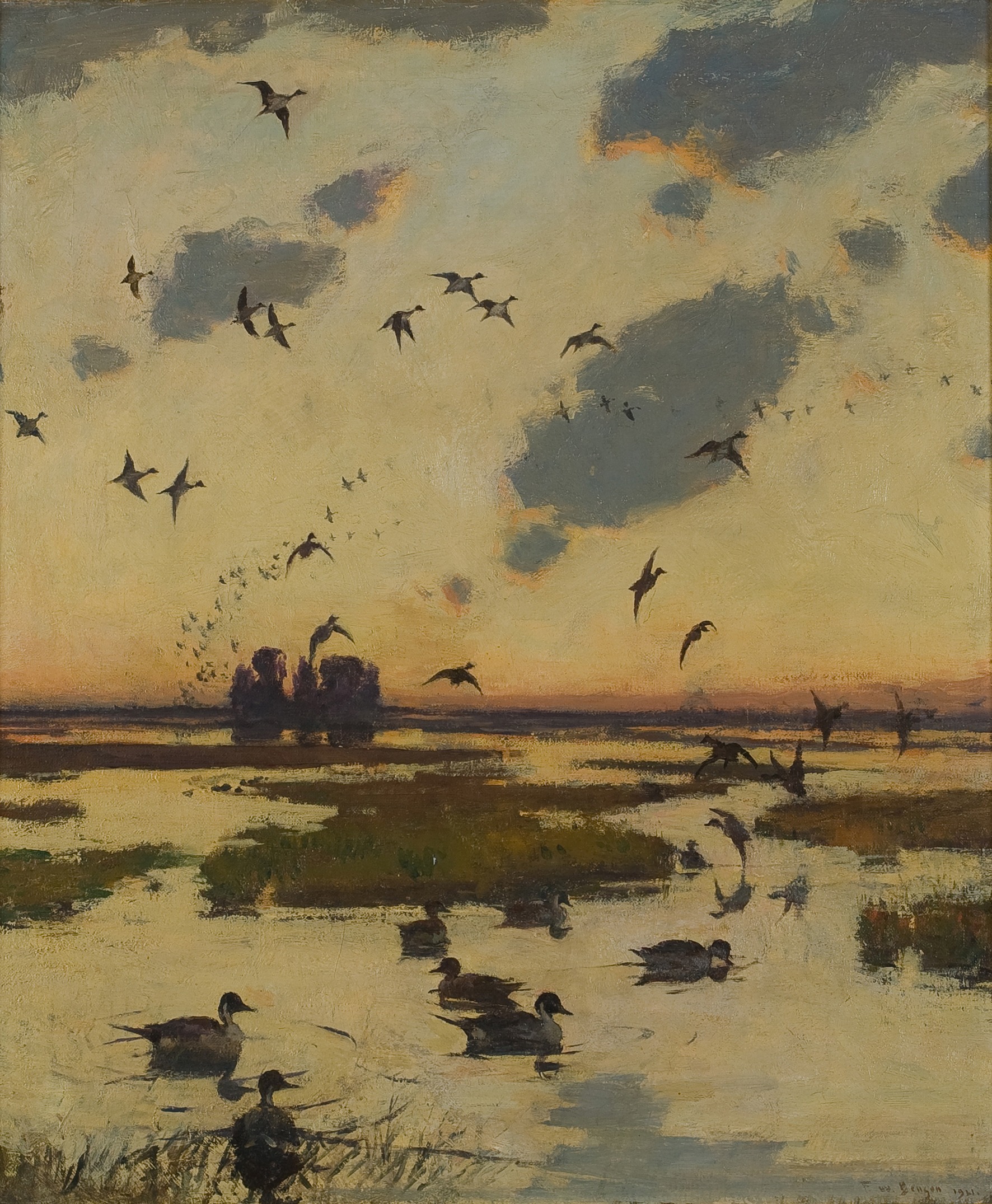 Wings and Wilderness: Birds and Landscapes of the Northeast